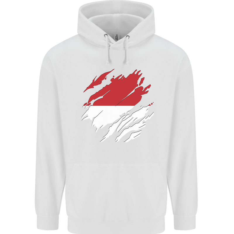 Torn Indonesia Flag Indonesian Day Football Childrens Kids Hoodie White