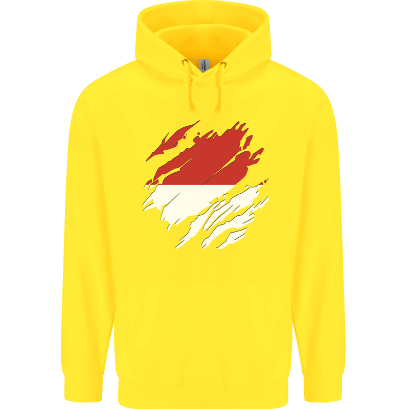 Torn Indonesia Flag Indonesian Day Football Childrens Kids Hoodie Yellow