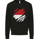Torn Indonesia Flag Indonesian Day Football Kids Sweatshirt Jumper Black
