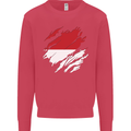 Torn Indonesia Flag Indonesian Day Football Kids Sweatshirt Jumper Heliconia