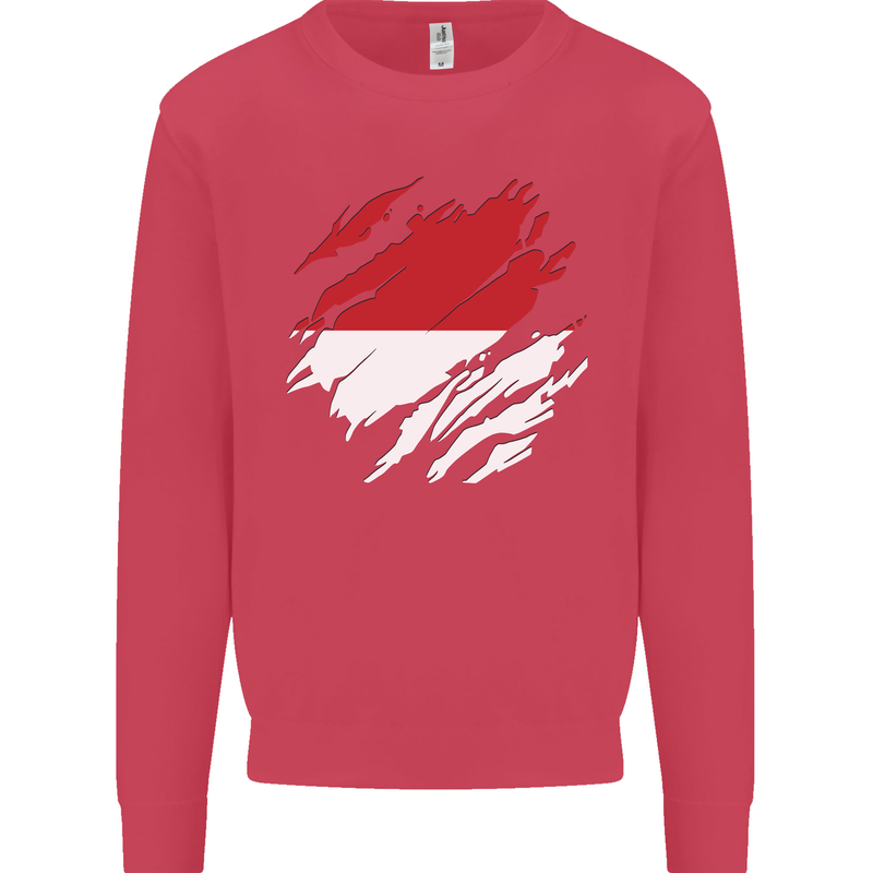 Torn Indonesia Flag Indonesian Day Football Kids Sweatshirt Jumper Heliconia