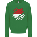 Torn Indonesia Flag Indonesian Day Football Kids Sweatshirt Jumper Irish Green