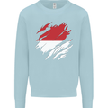 Torn Indonesia Flag Indonesian Day Football Kids Sweatshirt Jumper Light Blue