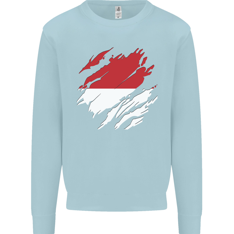 Torn Indonesia Flag Indonesian Day Football Kids Sweatshirt Jumper Light Blue
