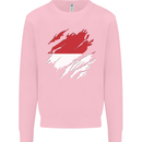 Torn Indonesia Flag Indonesian Day Football Kids Sweatshirt Jumper Light Pink