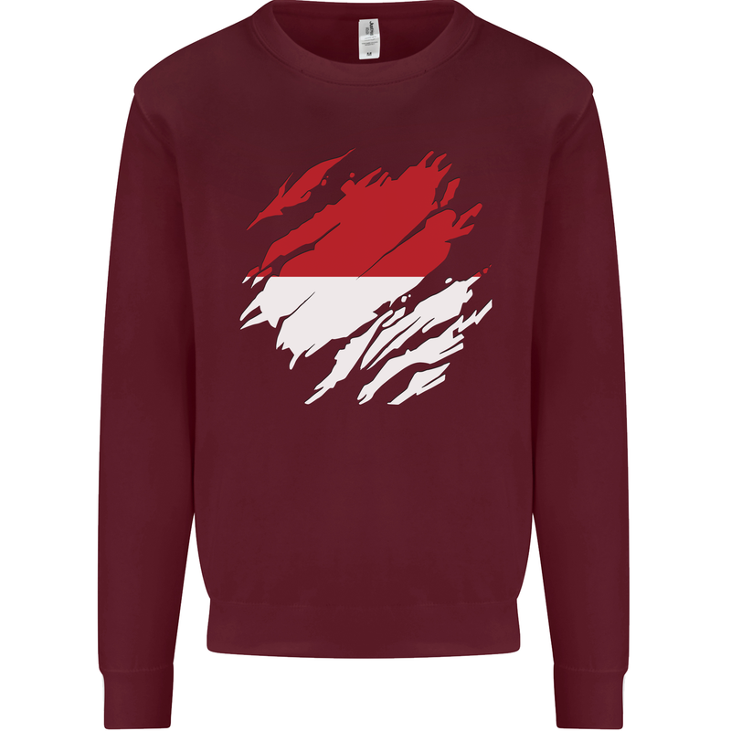 Torn Indonesia Flag Indonesian Day Football Kids Sweatshirt Jumper Maroon
