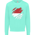 Torn Indonesia Flag Indonesian Day Football Kids Sweatshirt Jumper Peppermint