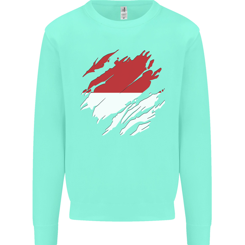 Torn Indonesia Flag Indonesian Day Football Kids Sweatshirt Jumper Peppermint