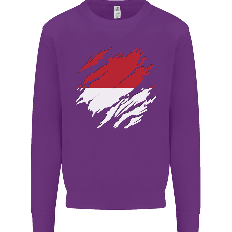 Torn Indonesia Flag Indonesian Day Football Kids Sweatshirt Jumper Purple