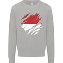 Torn Indonesia Flag Indonesian Day Football Kids Sweatshirt Jumper Sports Grey