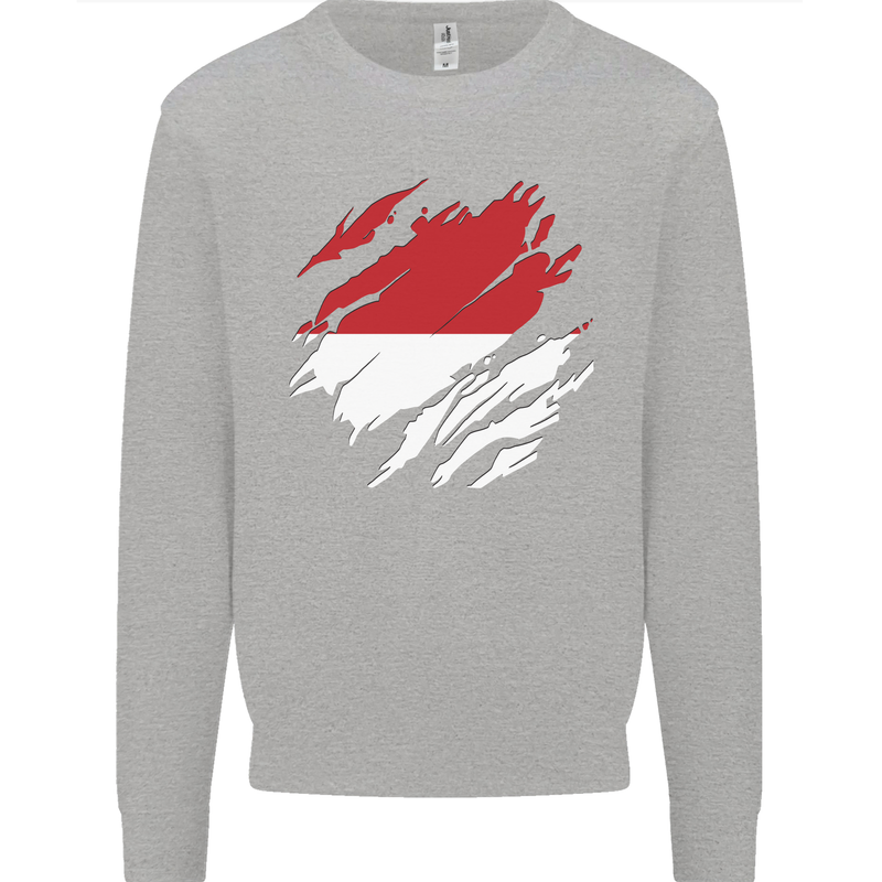 Torn Indonesia Flag Indonesian Day Football Kids Sweatshirt Jumper Sports Grey