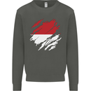 Torn Indonesia Flag Indonesian Day Football Kids Sweatshirt Jumper Storm Grey