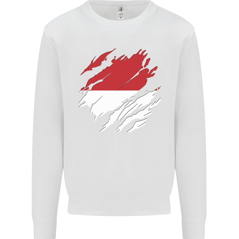 Torn Indonesia Flag Indonesian Day Football Kids Sweatshirt Jumper White