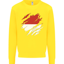 Torn Indonesia Flag Indonesian Day Football Kids Sweatshirt Jumper Yellow