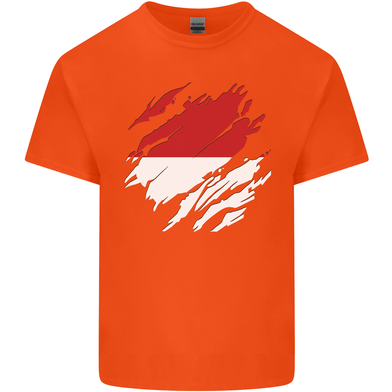Torn Indonesia Flag Indonesian Day Football Kids T-Shirt Childrens Orange