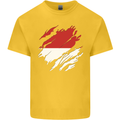 Torn Indonesia Flag Indonesian Day Football Kids T-Shirt Childrens Yellow