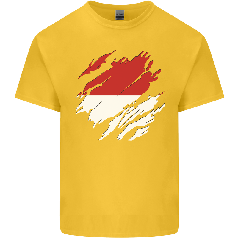 Torn Indonesia Flag Indonesian Day Football Kids T-Shirt Childrens Yellow