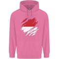 Torn Indonesia Flag Indonesian Day Football Mens 80% Cotton Hoodie Azelea