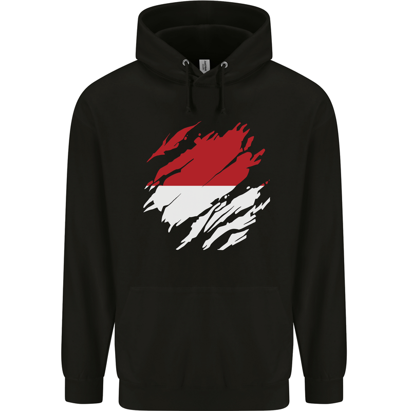 Torn Indonesia Flag Indonesian Day Football Mens 80% Cotton Hoodie Black