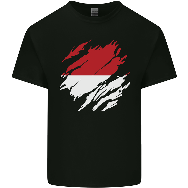 Torn Indonesia Flag Indonesian Day Football Mens Cotton T-Shirt Tee Top Black