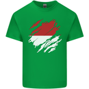 Torn Indonesia Flag Indonesian Day Football Mens Cotton T-Shirt Tee Top Irish Green