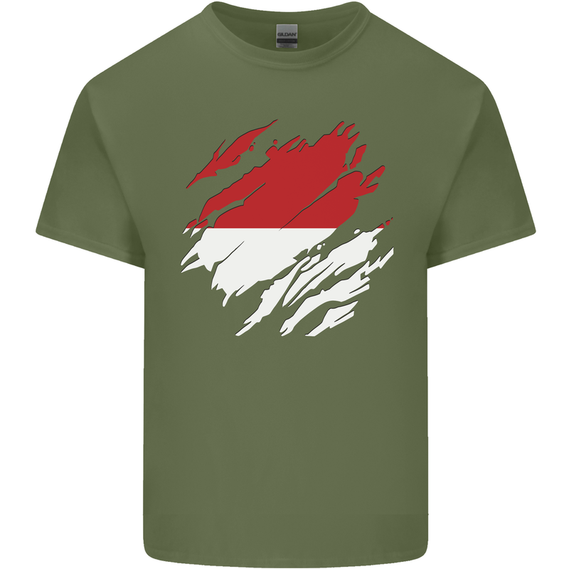 Torn Indonesia Flag Indonesian Day Football Mens Cotton T-Shirt Tee Top Military Green