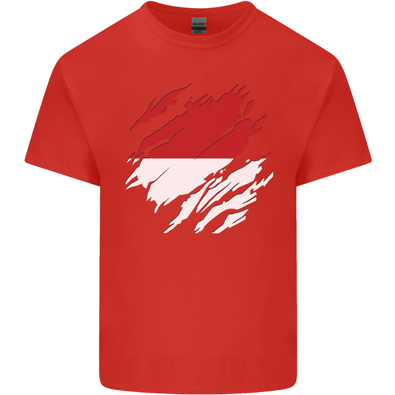 Torn Indonesia Flag Indonesian Day Football Mens Cotton T-Shirt Tee Top Red