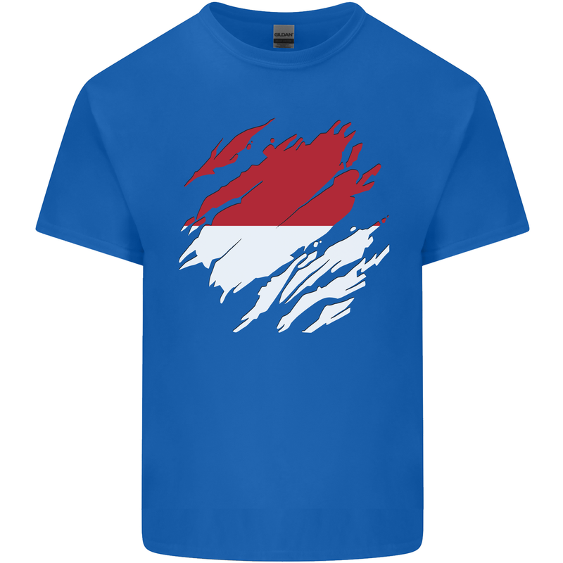 Torn Indonesia Flag Indonesian Day Football Mens Cotton T-Shirt Tee Top Royal Blue