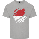 Torn Indonesia Flag Indonesian Day Football Mens Cotton T-Shirt Tee Top Sports Grey