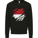 Torn Indonesia Flag Indonesian Day Football Mens Sweatshirt Jumper Black