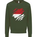 Torn Indonesia Flag Indonesian Day Football Mens Sweatshirt Jumper Forest Green