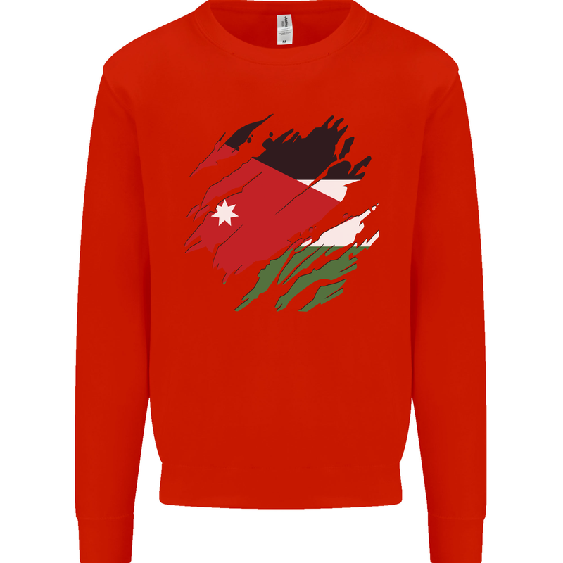 Torn Jordan Flag Jordanian Day Football Kids Sweatshirt Jumper Bright Red