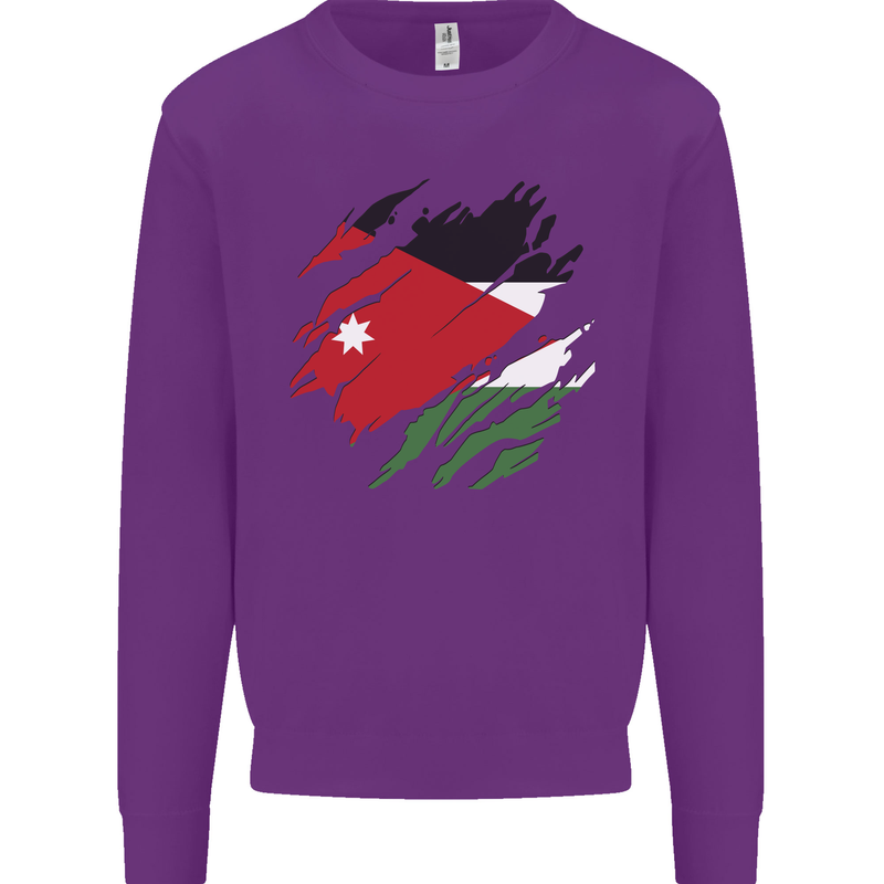Torn Jordan Flag Jordanian Day Football Kids Sweatshirt Jumper Purple