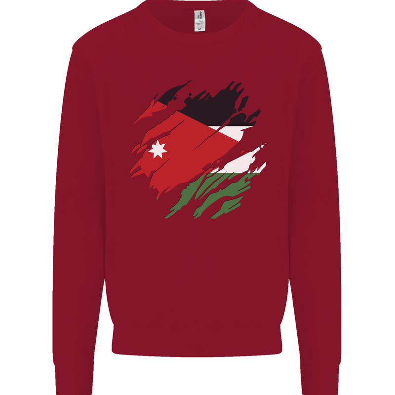 Torn Jordan Flag Jordanian Day Football Kids Sweatshirt Jumper Red