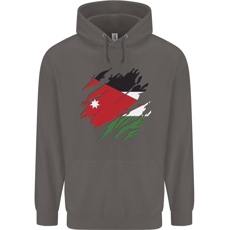 Torn Jordan Flag Jordanian Day Football Mens 80% Cotton Hoodie Charcoal