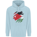 Torn Jordan Flag Jordanian Day Football Mens 80% Cotton Hoodie Light Blue