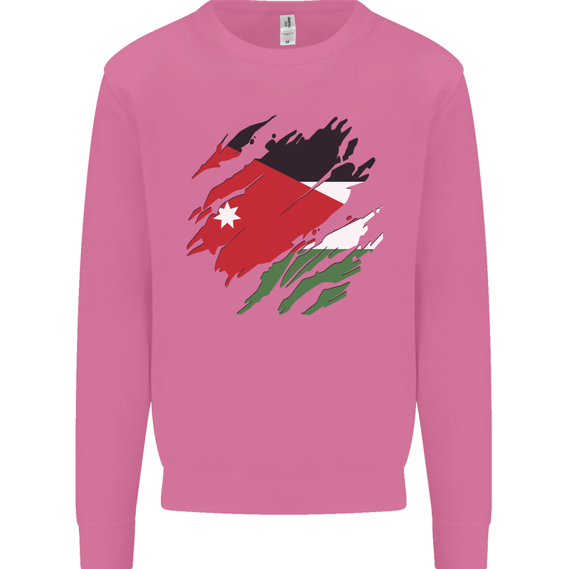 Torn Jordan Flag Jordanian Day Football Mens Sweatshirt Jumper Azalea