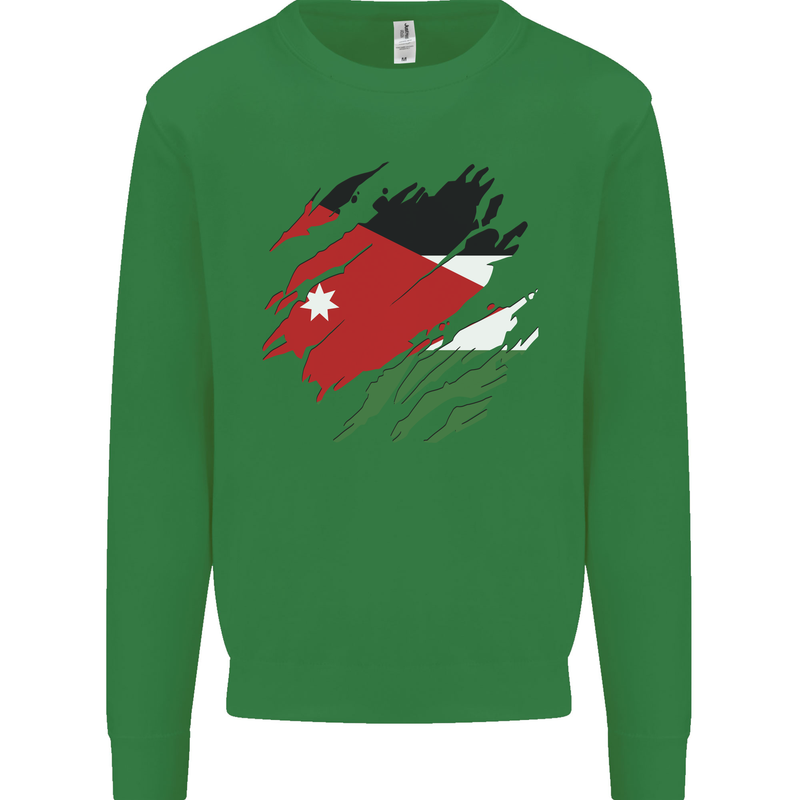 Torn Jordan Flag Jordanian Day Football Mens Sweatshirt Jumper Irish Green