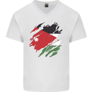 Torn Jordan Flag Jordanian Day Football Mens V-Neck Cotton T-Shirt White