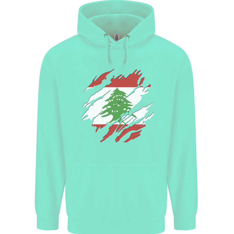 Torn Lebanon Flag Lebanese Day Football Childrens Kids Hoodie Peppermint