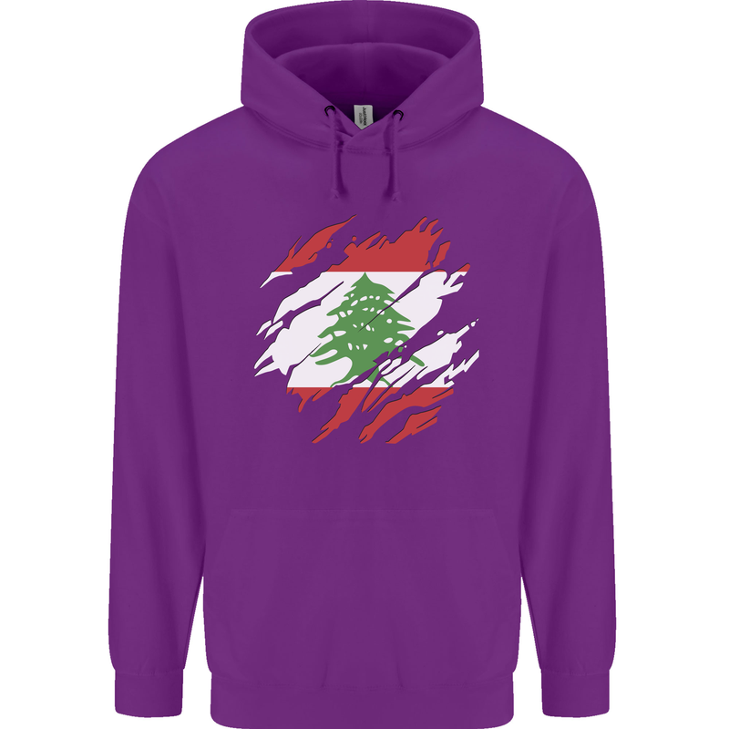 Torn Lebanon Flag Lebanese Day Football Childrens Kids Hoodie Purple