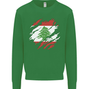 Torn Lebanon Flag Lebanese Day Football Kids Sweatshirt Jumper Irish Green