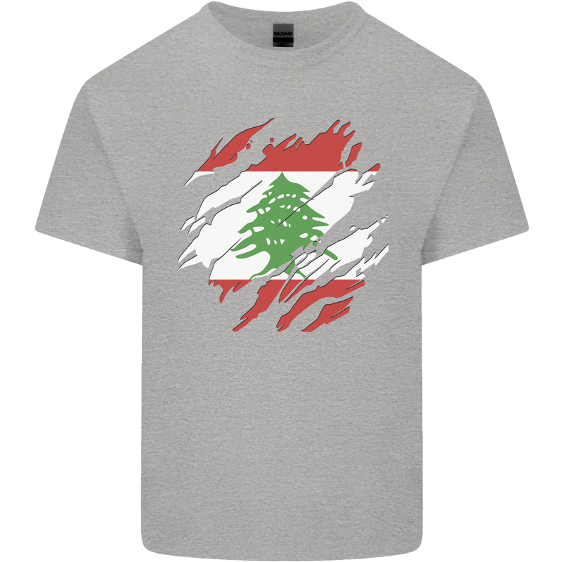 Torn Lebanon Flag Lebanese Day Football Mens Cotton T-Shirt Tee Top Sports Grey
