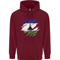 Torn Lesotho Flag Basotho Day Football Childrens Kids Hoodie Maroon