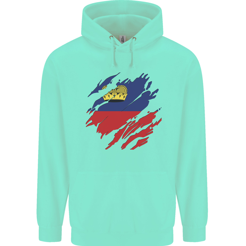 Torn Liechtenstein Flag Liechtensteiner Day Football Childrens Kids Hoodie Peppermint