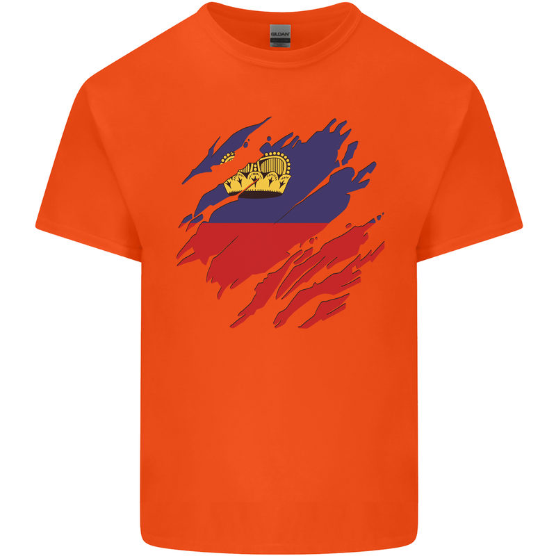 Torn Liechtenstein Flag Liechtensteiner Day Football Kids T-Shirt Childrens Orange