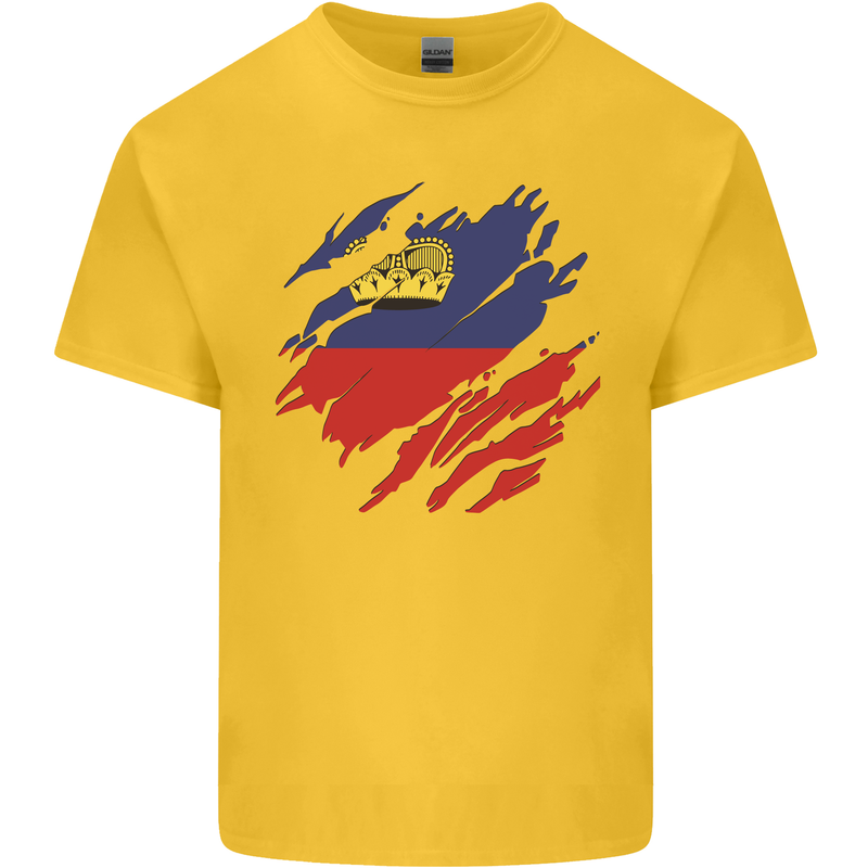 Torn Liechtenstein Flag Liechtensteiner Day Football Kids T-Shirt Childrens Yellow