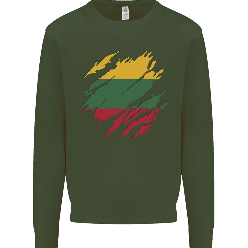 Torn Lithuania Flag Lithuania Day Football Kids Sweatshirt Jumper Forest Green