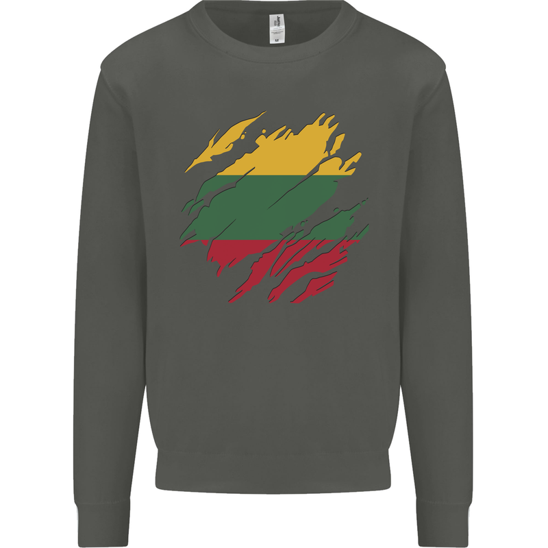 Torn Lithuania Flag Lithuania Day Football Kids Sweatshirt Jumper Storm Grey