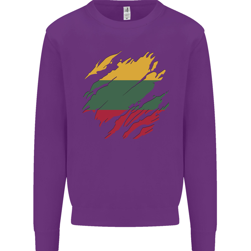 Torn Lithuania Flag Lithuania Day Football Mens Sweatshirt Jumper Purple